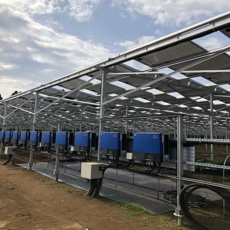 AGRICULTURAL SOLAR MOUNTING SYSTEM