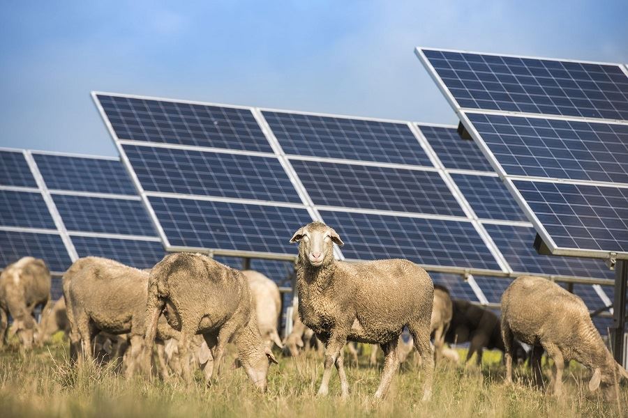 solar farm mount solar farm mount