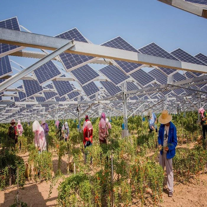 solar farm structures