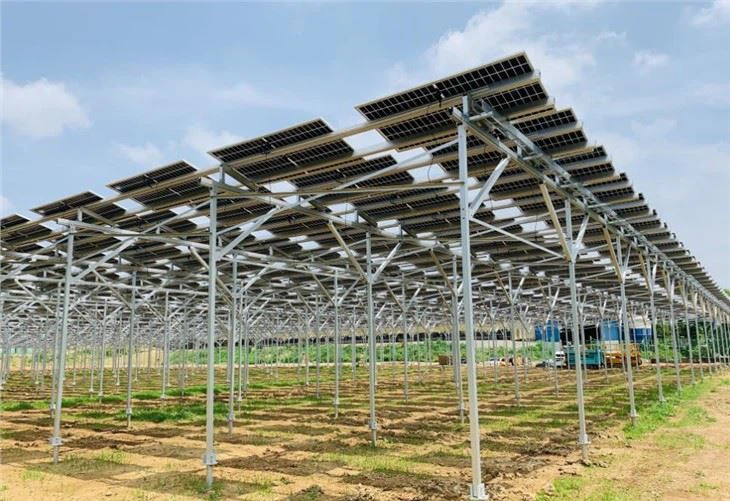 Fotovoltinės žemės ūkio montavimo konstrukcijos Saulės energijos ūkio montavimo sistema