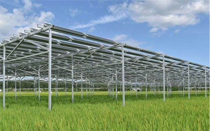 Photovoltaic Agriculture Mounting Structure Solar Farm Mounting System