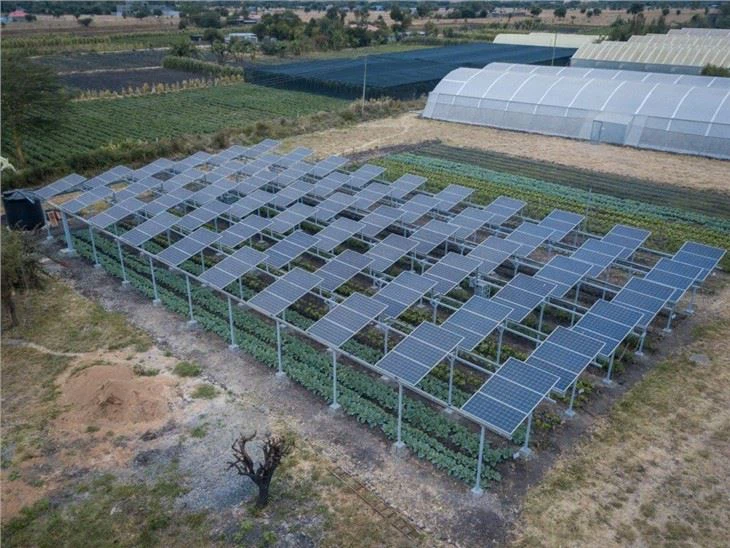 Photovoltaic Agriculture Mounting Structure Solar Farm Mounting System