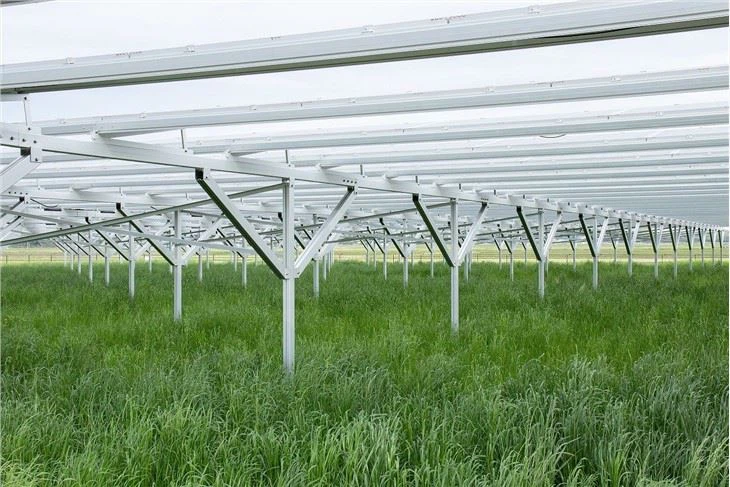 Photovoltaic Agriculture Mounting Structure Solar Farm Mounting System