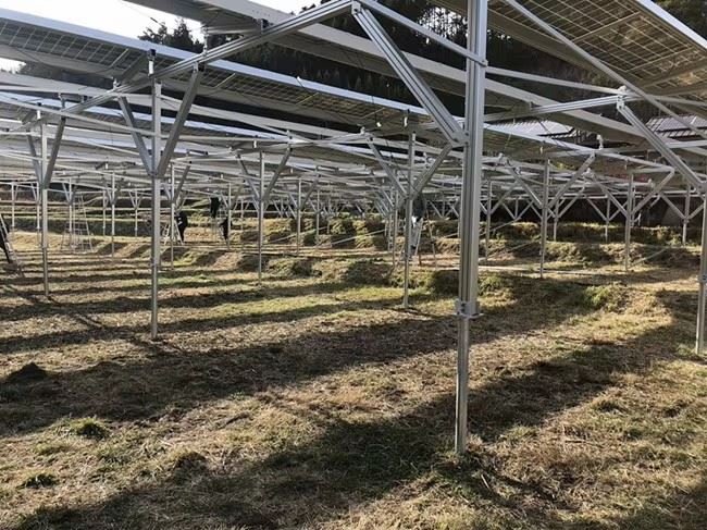 Agrivoltaics Mounting Solutions best