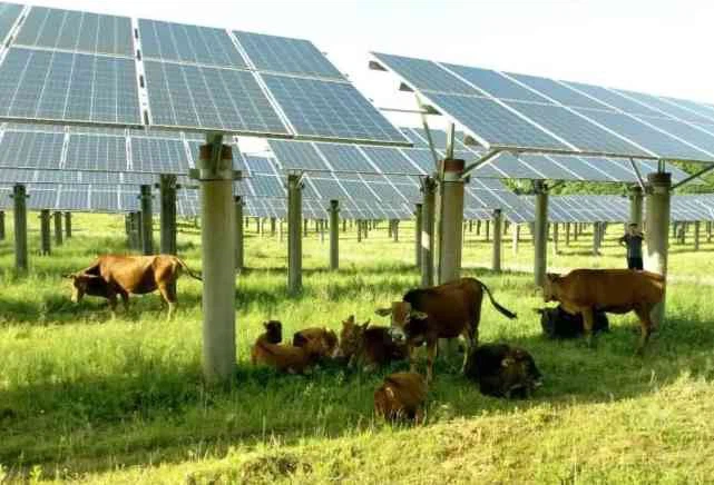 Concrete Single Pile Solar Mounting System