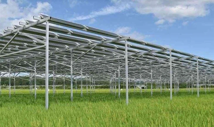 Mounting System For Agrivoltaics